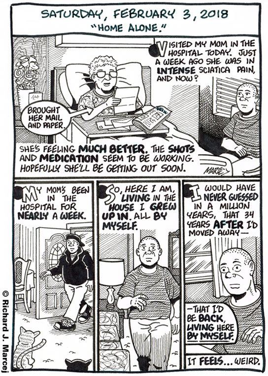 Daily Comic Journal: February 3, 2018: “Home Alone.”