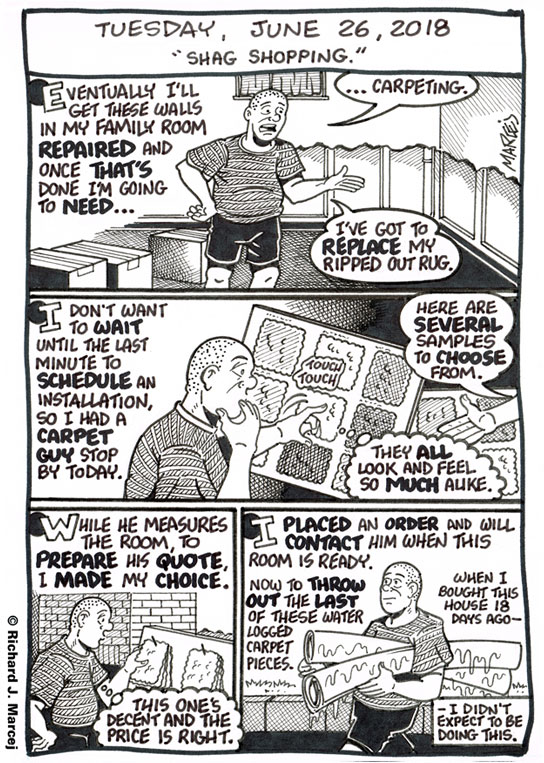 Daily Comic Journal: June 26, 2018: “Shag Shopping.”