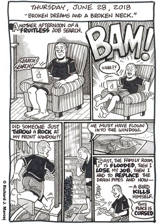 Daily Comic Journal: June 28, 2018: “Broken Dreams And A Broken Neck.”