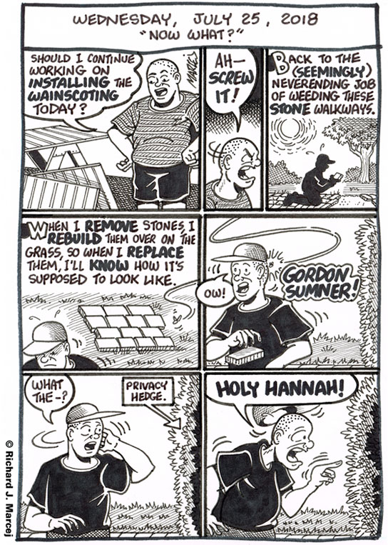 Daily Comic Journal: July 25, 2018: “Now What?”