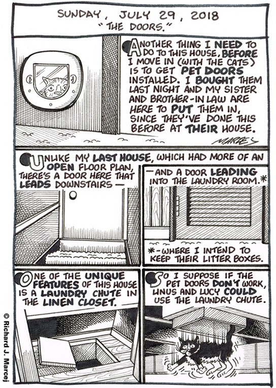 Daily Comic Journal: July 29, 2018: “The Doors.”