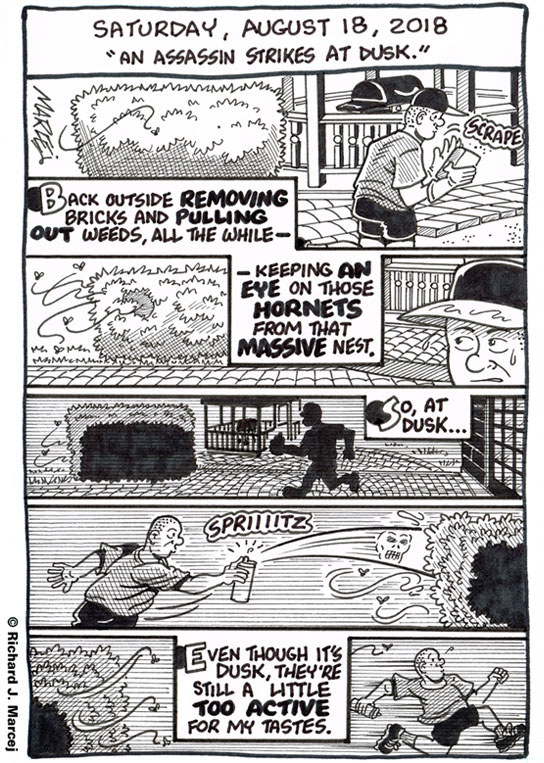 Daily Comic Journal: August 18, 2018: “An Assassin Strikes At Dusk.”