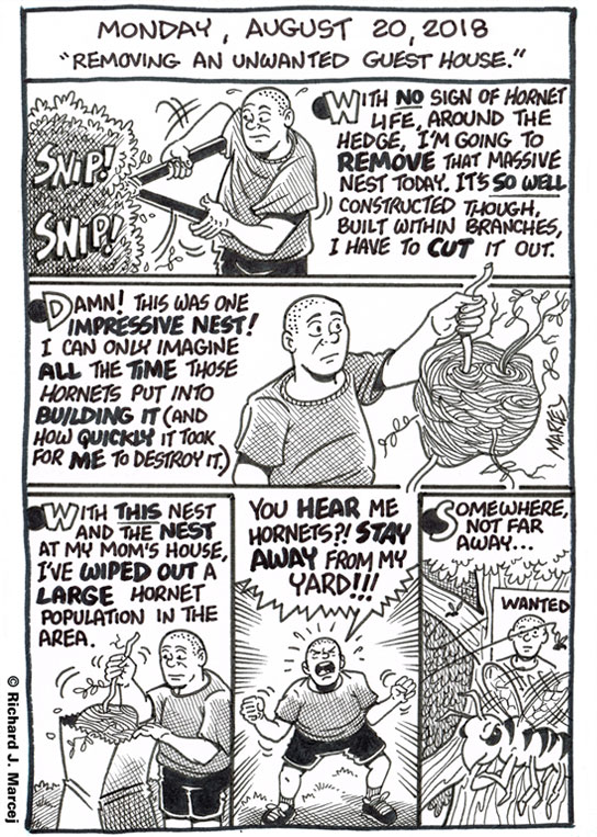 Daily Comic Journal: August 20, 2018: “Removing An Unwanted Guest House.”