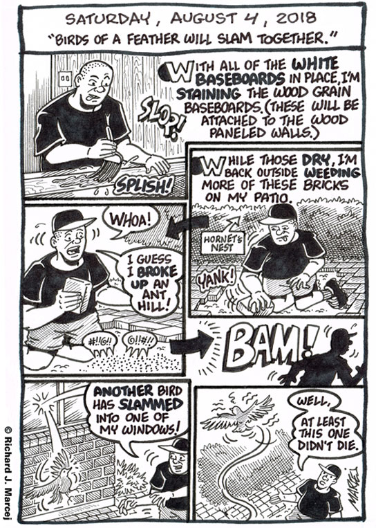 Daily Comic Journal: August 4, 2018: “Birds Of A Feather Will Slam Together.”