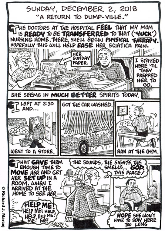 Daily Comic Journal: December 2, 2018: “A Return To Dump-Ville.”