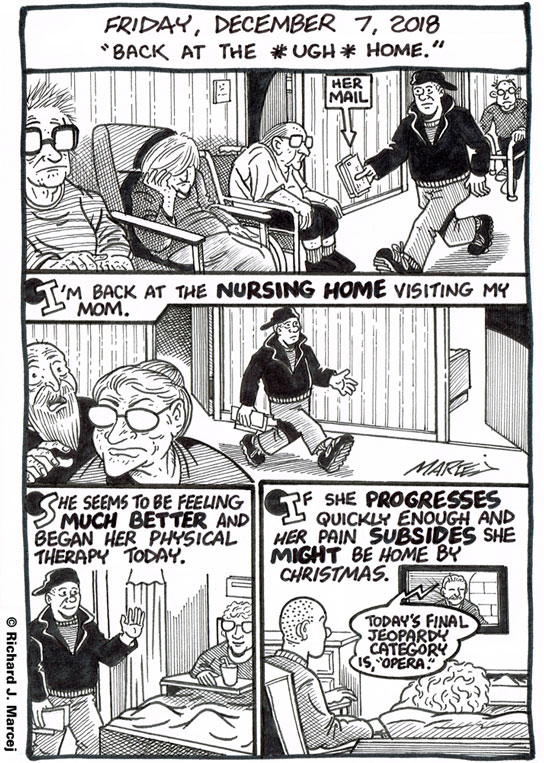 Daily Comic Journal: December 7, 2018: “Back At The *UGH* Home.”