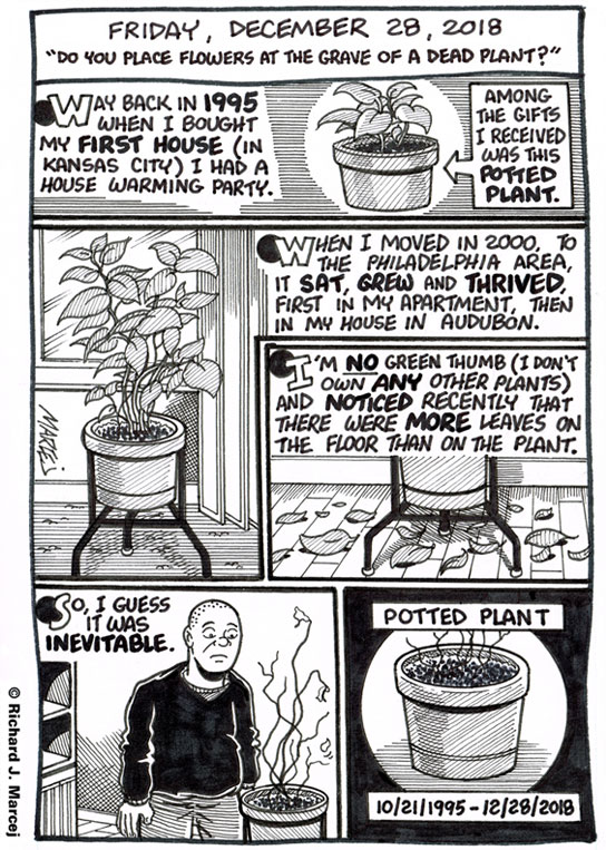 Daily Comic Journal: December 28, 2018: “Do You Place Flowers At The Grave Of A Dead Plant?”