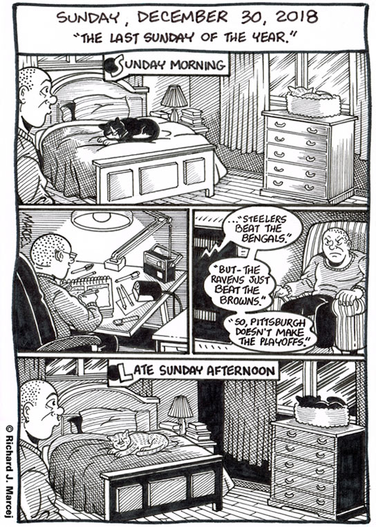 Daily Comic Journal: December 30, 2018: “The Last Sunday Of The Year.”