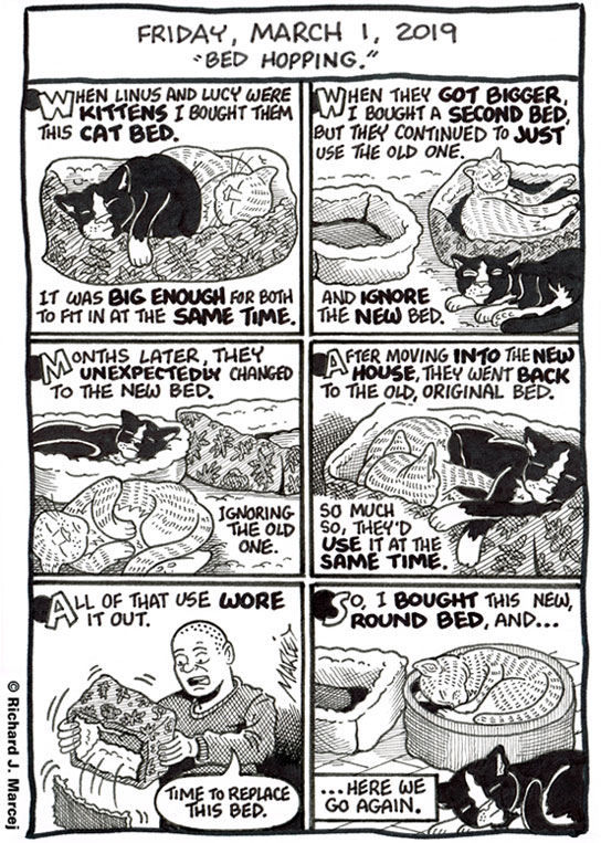 Daily Comic Journal: March 1, 2019: “Bed Hopping.”