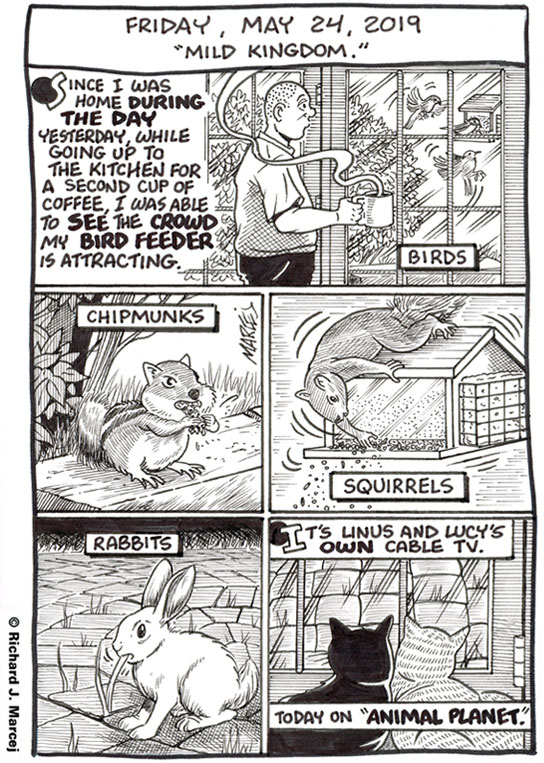 Daily Comic Journal: May 24, 2019: “Mild Kingdom.”