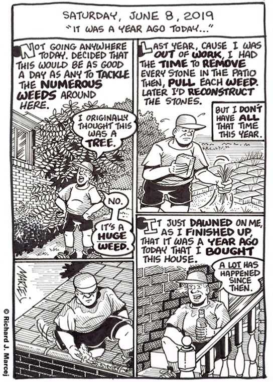 Daily Comic Journal: June 8, 2019: “It Was A Year Ago Today…”