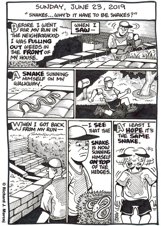 Daily Comic Journal: June 23, 2019: “Snakes… Why’d It Have To Be Snakes?”