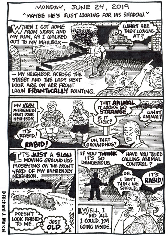 Daily Comic Journal: June 24, 2019: “Maybe He’s Just Looking For His Shadow.”