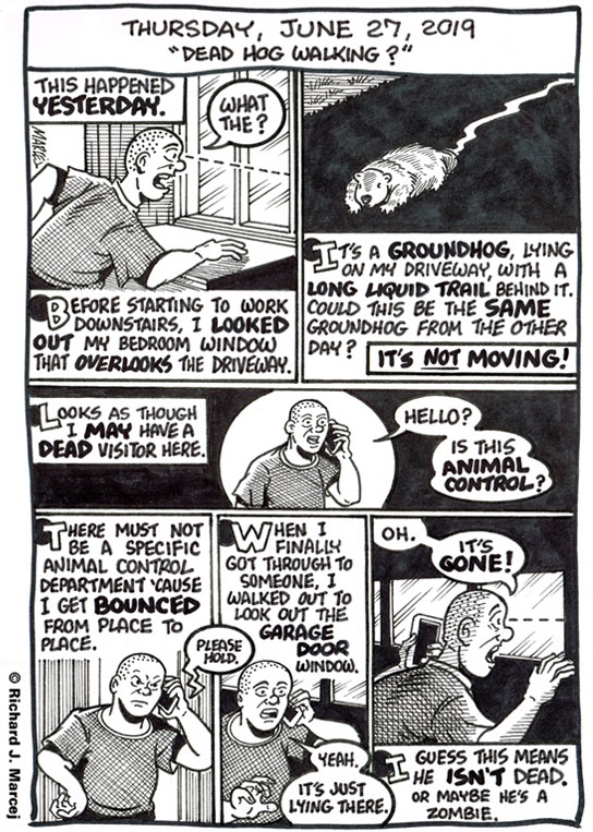 Daily Comic Journal: June 27, 2019: “Dead Hog Walking.”