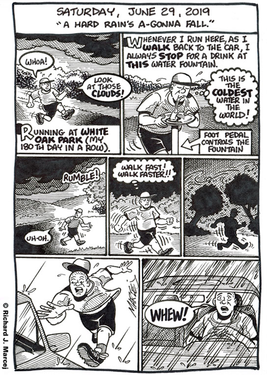 Daily Comic Journal: June 29, 2019: “A Hard Rain’s A-Gonna Fall.”