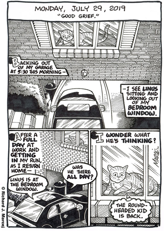 Daily Comic Journal: July 29, 2019: “Good Grief.”
