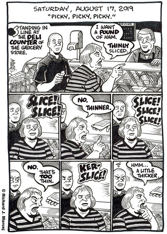 Daily Comic Journal: August 17, 2019: “Picky, Picky, Picky.”