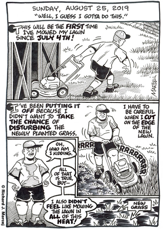 Daily Comic Journal: August 25, 2019: “Well, I Guess I Gotta Do This.”