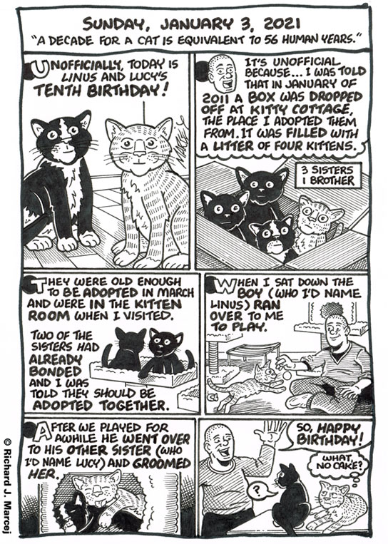 Daily Comic Journal: January 3, 2021: “A Decade For A Cat Is Equivalent To 56 Human Years.”