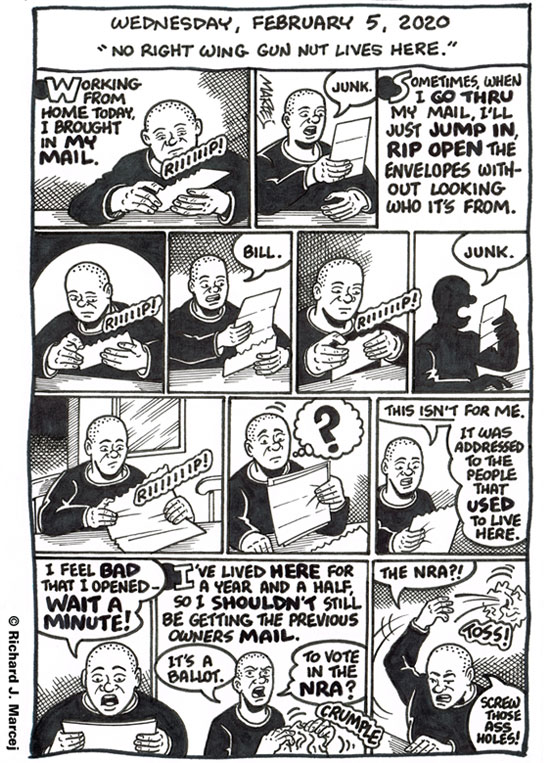 Daily Comic Journal: February 5, 2020: “No Right Wing Gun Nut Lives Here.”
