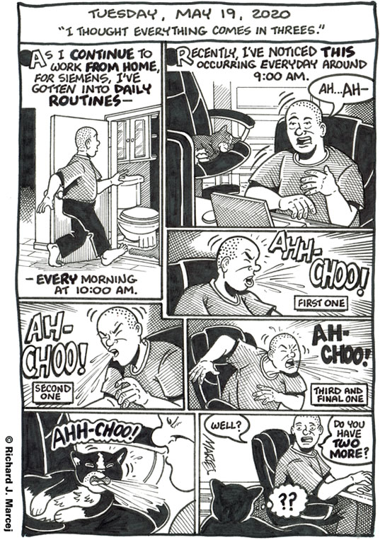 Daily Comic Journal: May 19, 2020: “I Thought Everything Comes In Threes.”