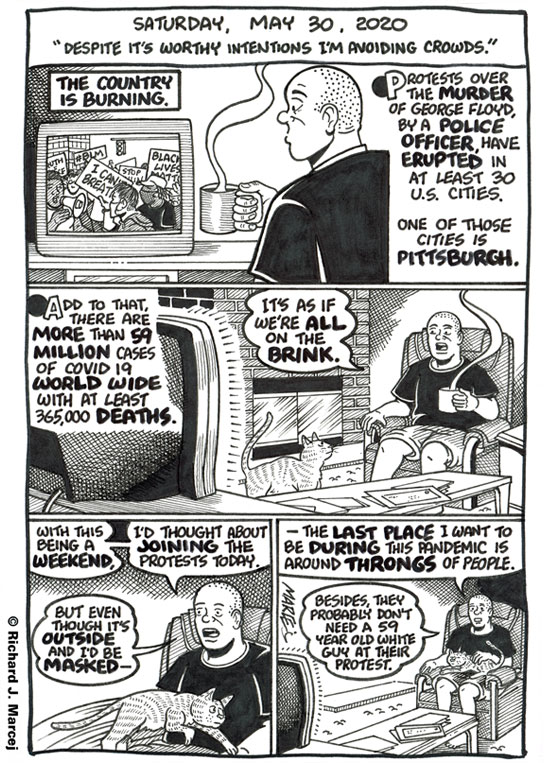 Daily Comic Journal: May 30, 2020: “Despite It’s Worthy Intentions I’m Avoiding Crowds.”