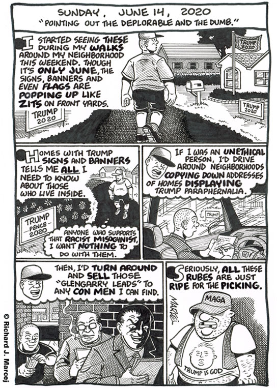 Daily Comic Journal: June 14, 2020: “Pointing Out The Deplorable And The Dumb.”