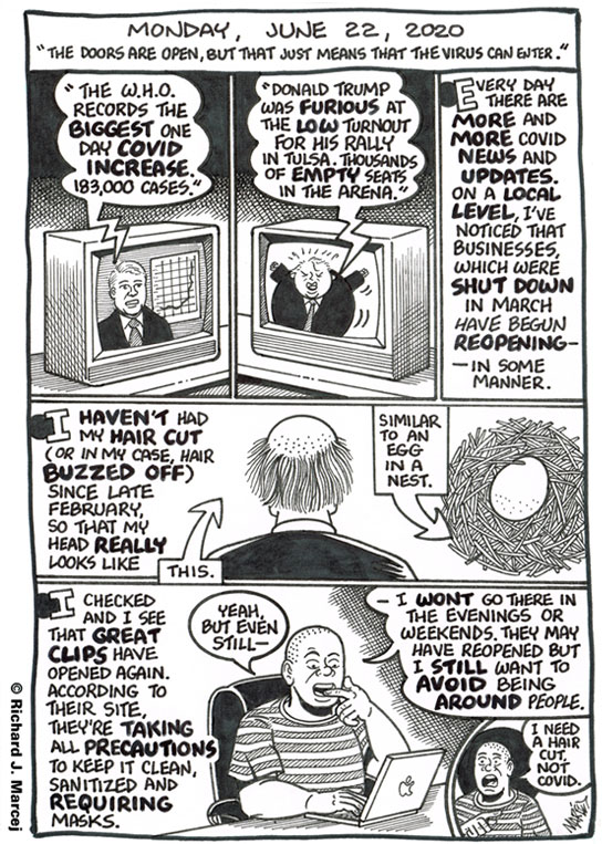 Daily Comic Journal: June 22, 2020: “The Doors Are Open, But That Just Means That The Virus Can Enter.”
