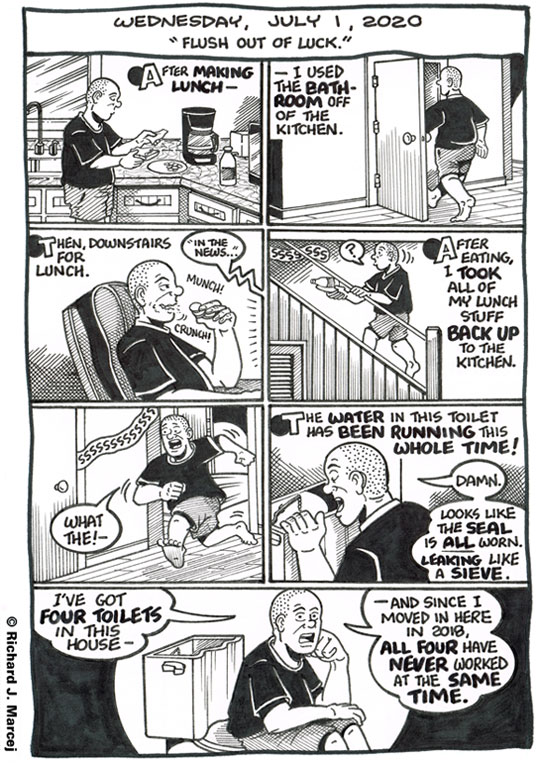 Daily Comic Journal: July 1, 2020: “Flush Out Of Luck.”