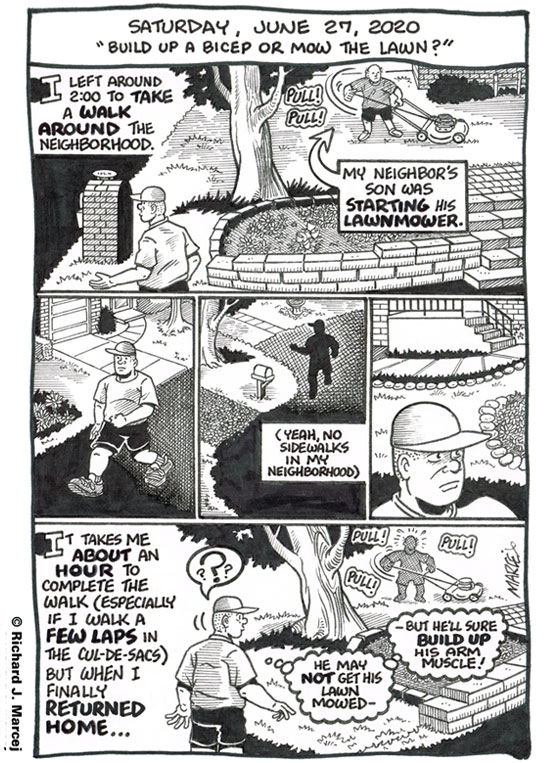 Daily Comic Journal: June 27, 2020: “Build Up A Bicep Or Mow The Lawn?”