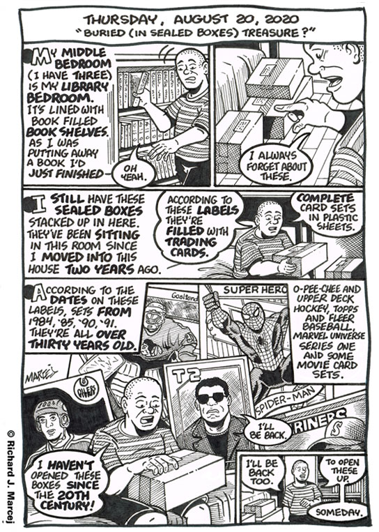 Daily Comic Journal: August 20, 2020: “Buried (In Sealed Boxes) Treasure?”
