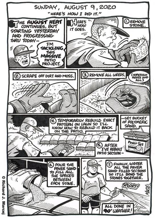 Daily Comic Journal: August 9, 2020: “Here’s How I Did It.”