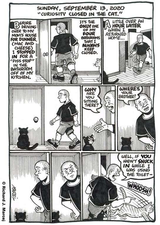 Daily Comic Journal: September 13, 2020: “Curiosity Closed In The Cat.”