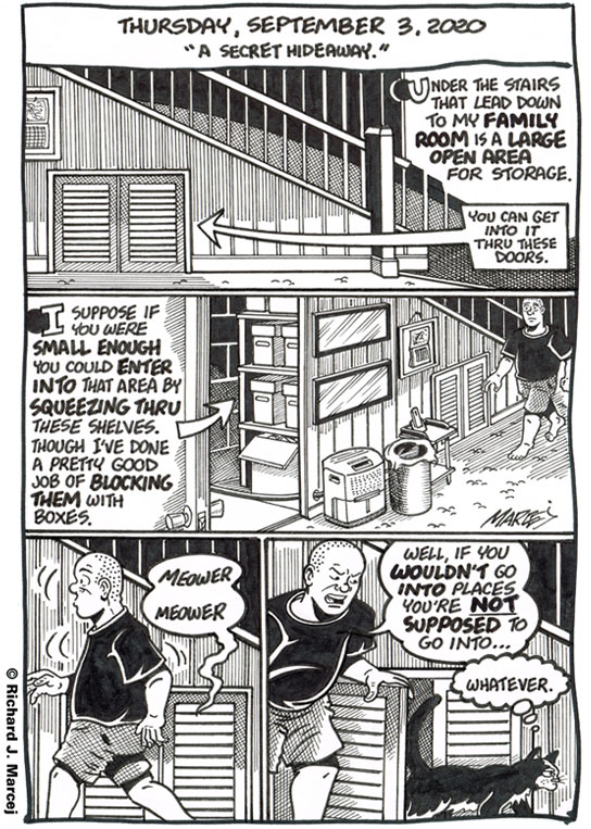 Daily Comic Journal: September 3, 2020: “A Secret Hideaway.”