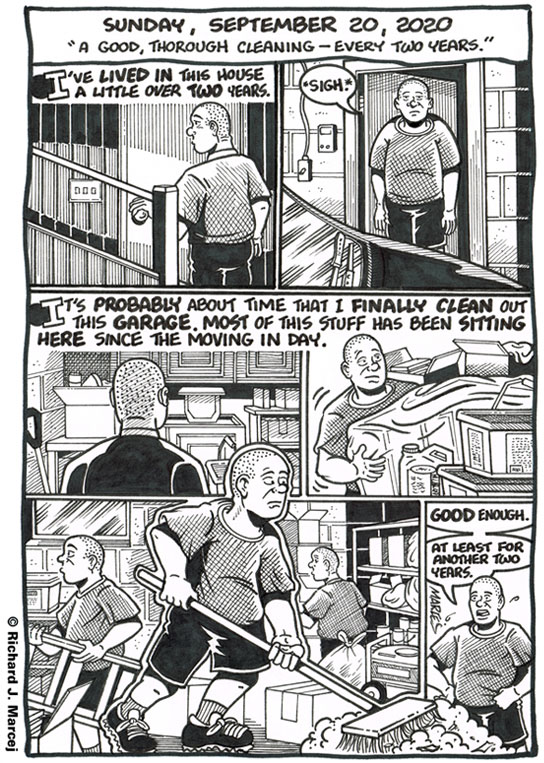 Daily Comic Journal: September 20, 2020: “A Good, Thorough Cleaning – Every Two Years.”