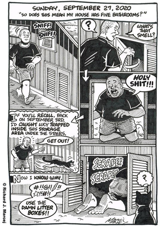 Daily Comic Journal: September 27, 2020: “So Does This Mean My House Has Five Bathrooms?”