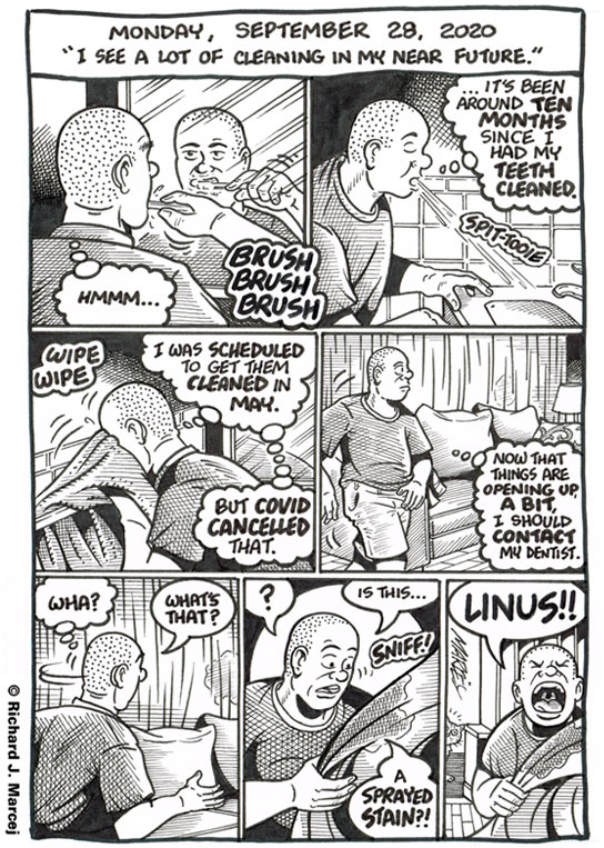 Daily Comic Journal: September 28, 2020: “I See A Lot Of Cleaning In My Near Future.”