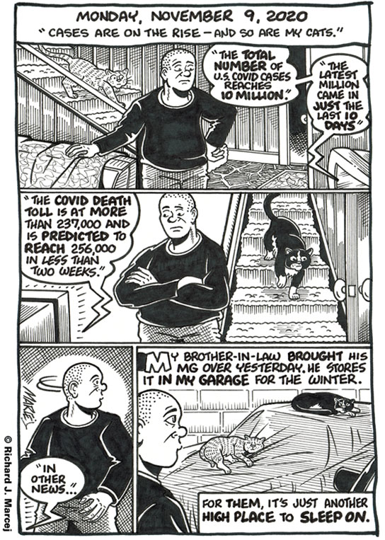 Daily Comic Journal: November 9, 2020: “Cases Are On The Rise – And So Are My Cats.”