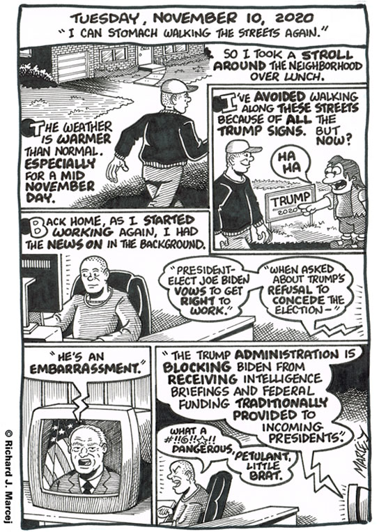 Daily Comic Journal: November 10, 2020: “I Can Stomach Walking The Streets Again.”