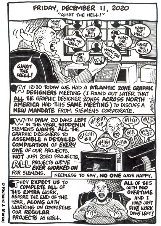 Daily Comic Journal: December 11, 2020: “What The Hell!”
