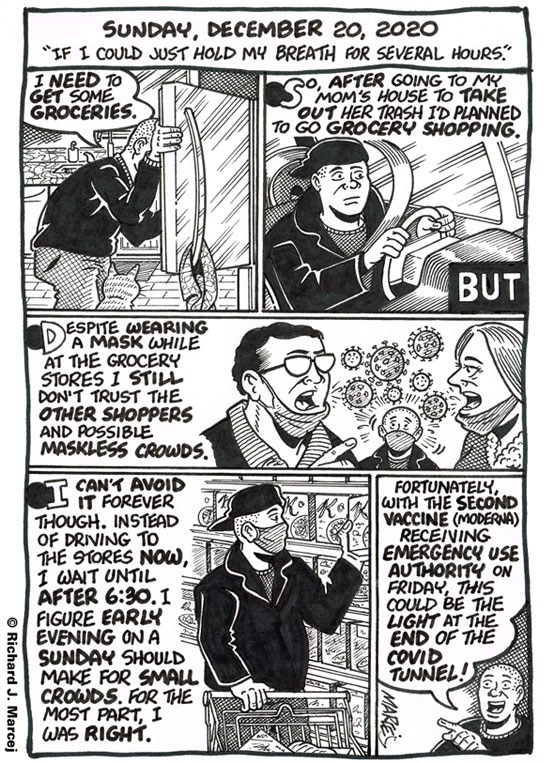 Daily Comic Journal: December 20, 2020: “If I Could Just Hold My Breath For Several Hours.”