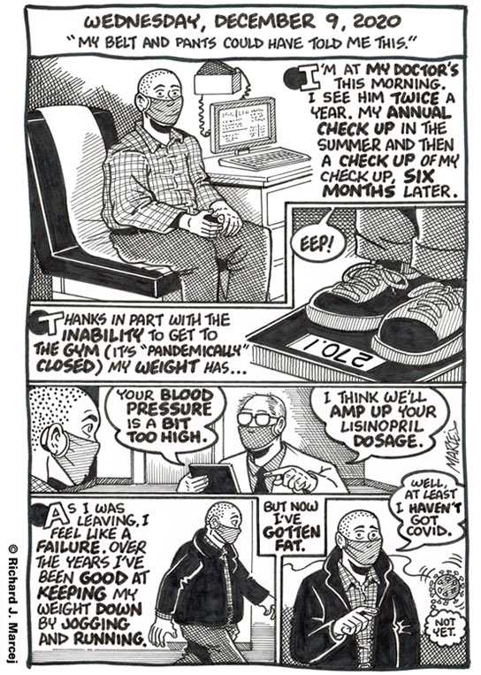 Daily Comic Journal: December 9, 2020: “My Belt And Pants Could Have Told Me This.”