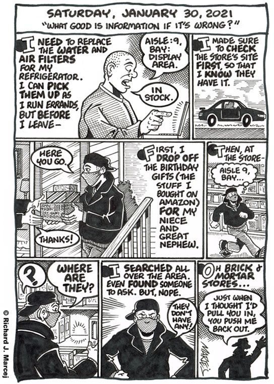 Daily Comic Journal: January 30, 2021: “What Good Is Information If It’s Wrong?”