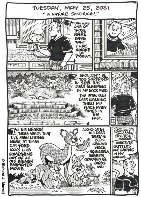 Daily Comic Journal: May 25, 2021: “A Nature Sanctuary.”