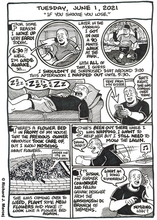 Daily Comic Journal: June 1, 2021: “If You Snooze You Lose.”