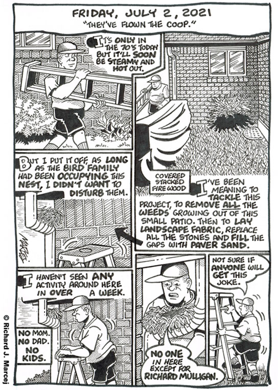 Daily Comic Journal: July 2, 2021: “They’ve Flown The Coop.”