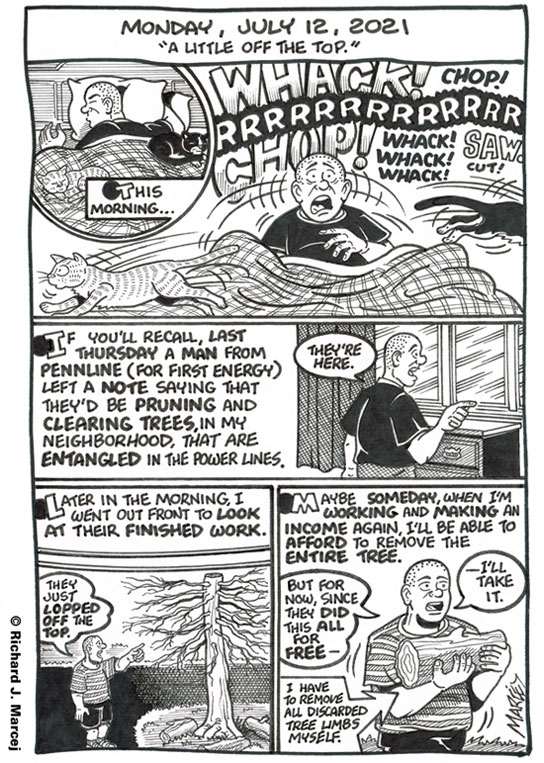 Daily Comic Journal: July 12, 2021: “A Little Off The Top.”
