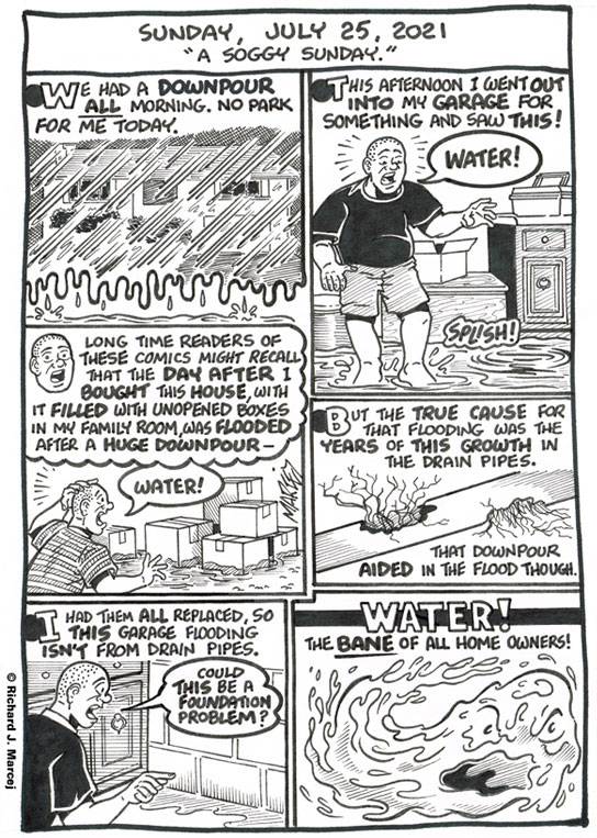 Daily Comic Journal: July 25, 2021: “A Soggy Sunday.”