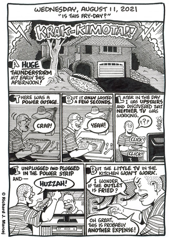 Daily Comic Journal: August 11, 2021: “Is This Fry-Day?”