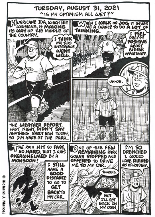 Daily Comic Journal: August 31, 2021: “Is My Optimism All Wet?”